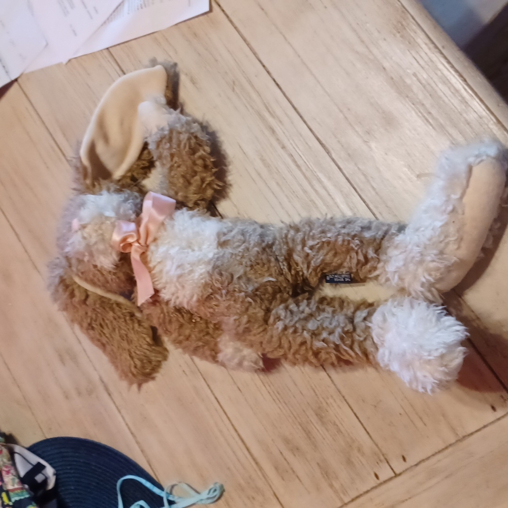 Boyd's bear rabbit